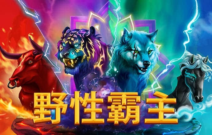 哈哈体育